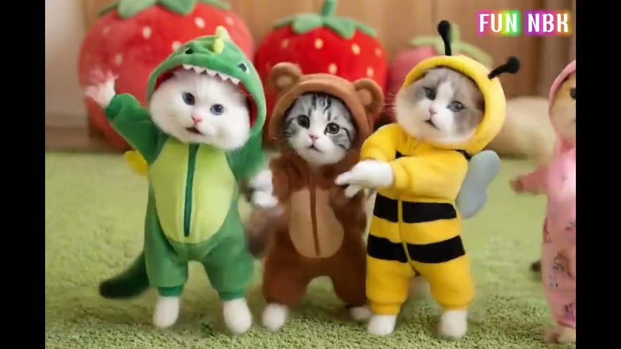 Dudi Dudi Dam  Dance |  Kids Dance Song | Funny Kids Videos | Cat Dance Funny 😍😍