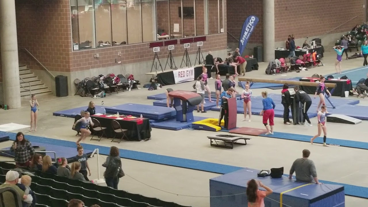 Maddison Reidenbach, 12 year old, Level 9, Vault, Chow's Winter Classic 2018