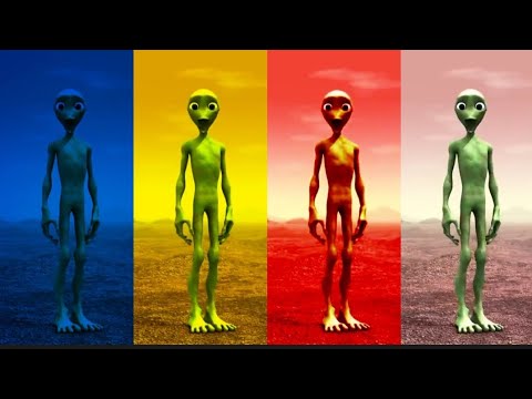 Dame Tu Cosita Colorful 