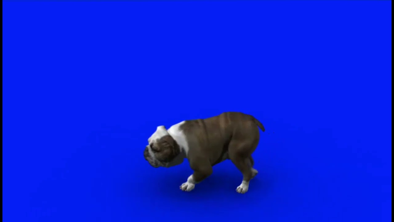 FX Guru Bad Dog On Blue Screen