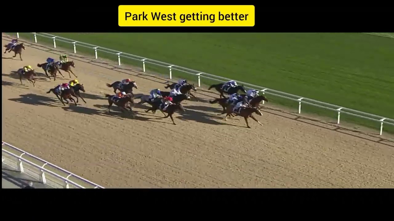 14/1/2026 @Result of Kante Quarte Terse