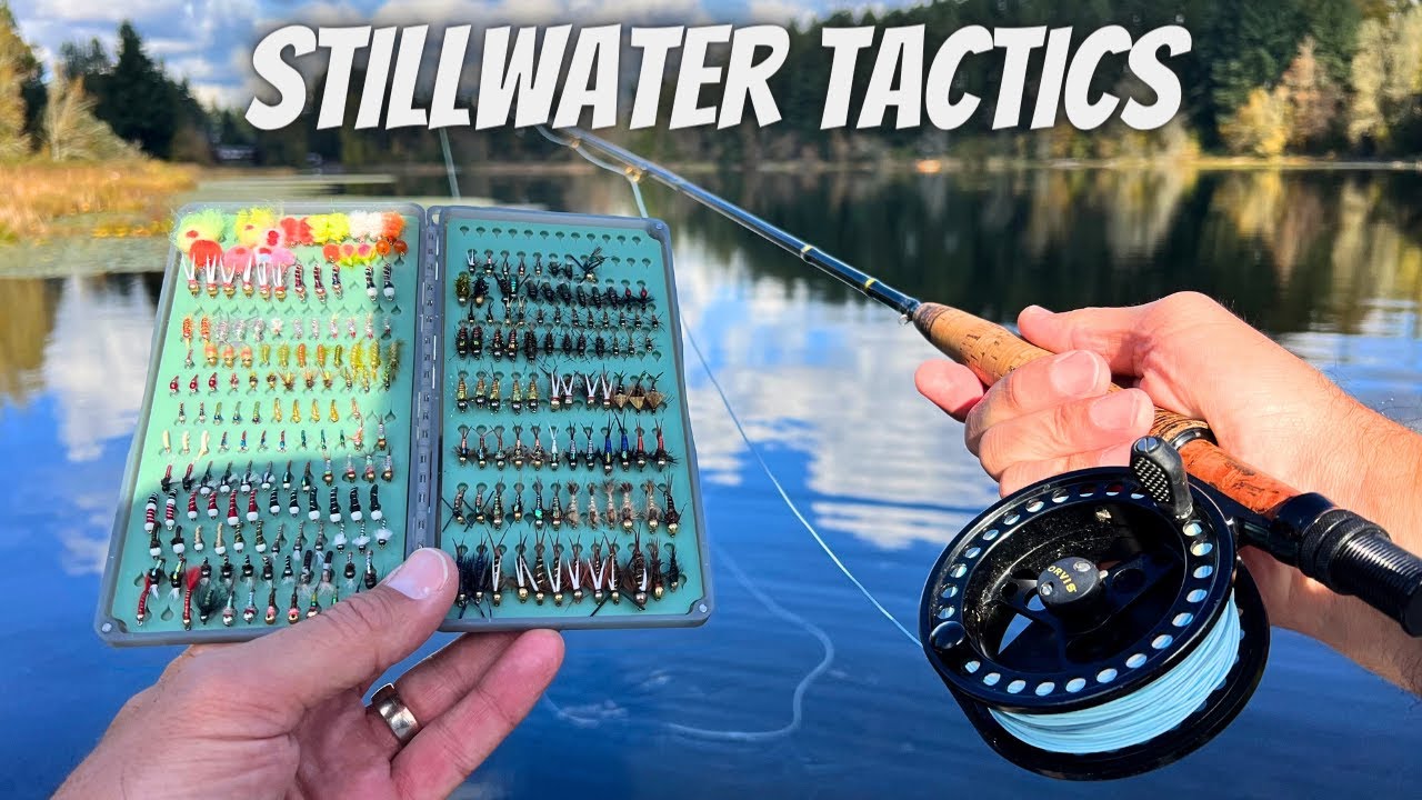 Boost Your Trout Fishing Game (Fly Fishing) YouTube