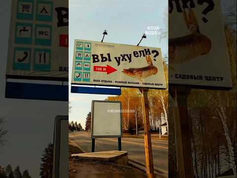 Вы уху ели? #прикол #мем #видеомем #видеоприколы #neonrussia #мемы