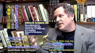 Dr. Jeffrey Schwartz: Fundamentals of Mind-Brain Interaction (1/2)