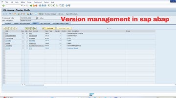 what is version management in sap abap | version management in sap abap