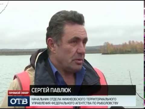 рыбалка в шорохово исетский рыбалка в шорохово исетский