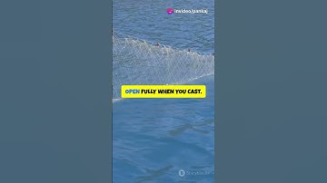 How a Cast Net Works #TheInnovationHub  #FishingTechnology #HowThingsWork #ScienceAndTechnology