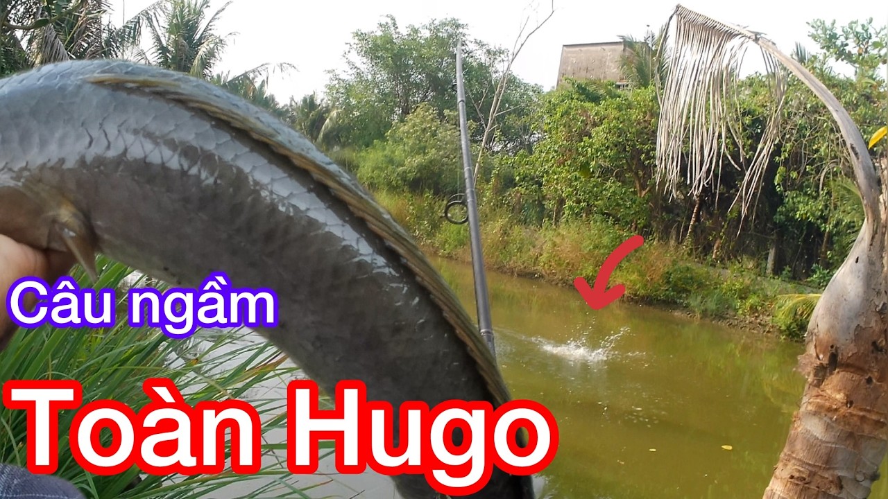 ''''câu ngầm''''dính toàn khủng long\thư giãn dân dã