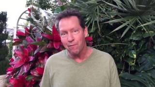 D.b.sweeney Military Greeting