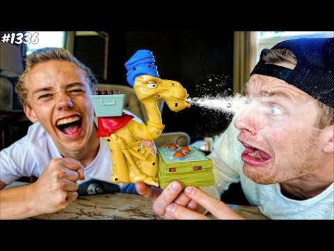 KAMEELTJE SPUUG! - ENZOKNOL VLOG #1336