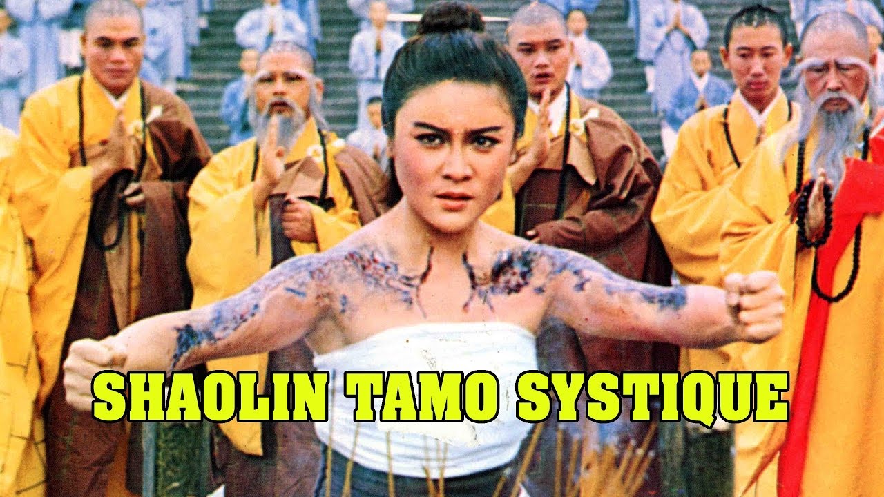 Wu Tang Collection - Fight For Shaolin Tamo Systique (Mandarin)
