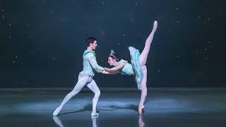 Let It Snow: Katie Vasilopoulos