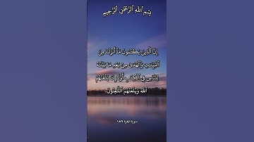 تلاوة تهز القلوب عن سوء و حُسن العاقبة آية 159 و 160 من سورة البقرة بصوت مشاري راشد العفاسي