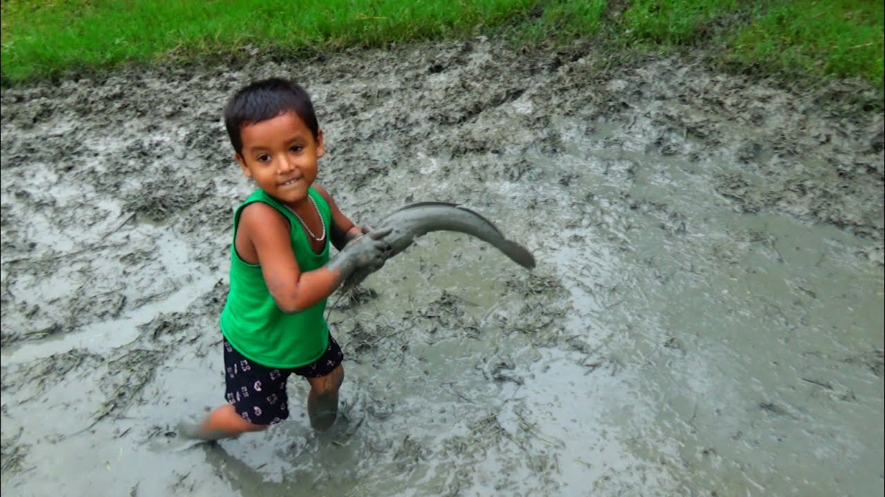 Amazing Boy Catching Big Catfish In Mud Water || Hand Fishing For ...