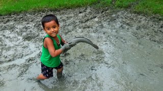 Amazing Boy Catching Big Catfish In Mud Water || Hand Fishing For Catfish