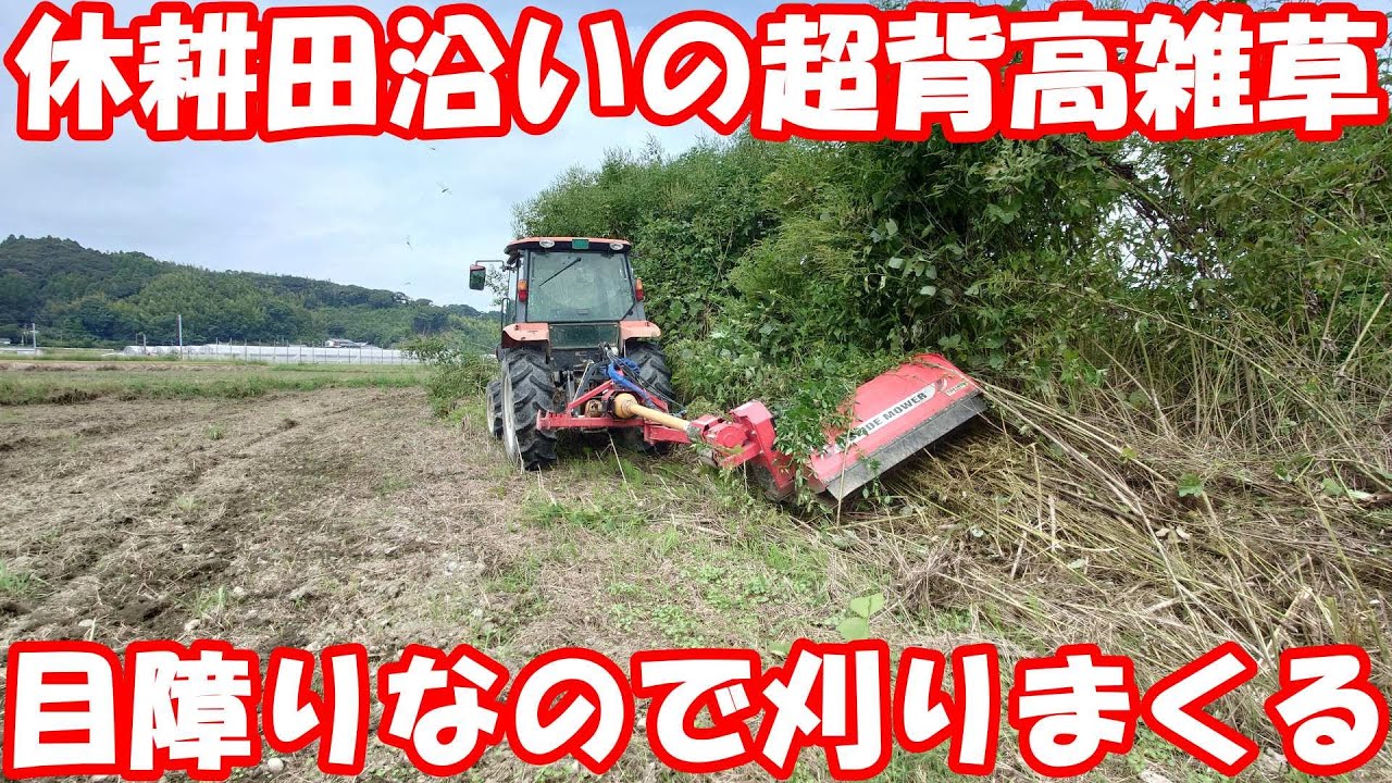 境界が曖昧な休耕田。あの雑草エリアも田んぼだと？#mower #草刈り 