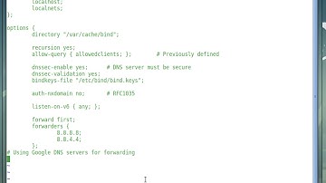 How to create a forwarding DNS server with cache in Linux