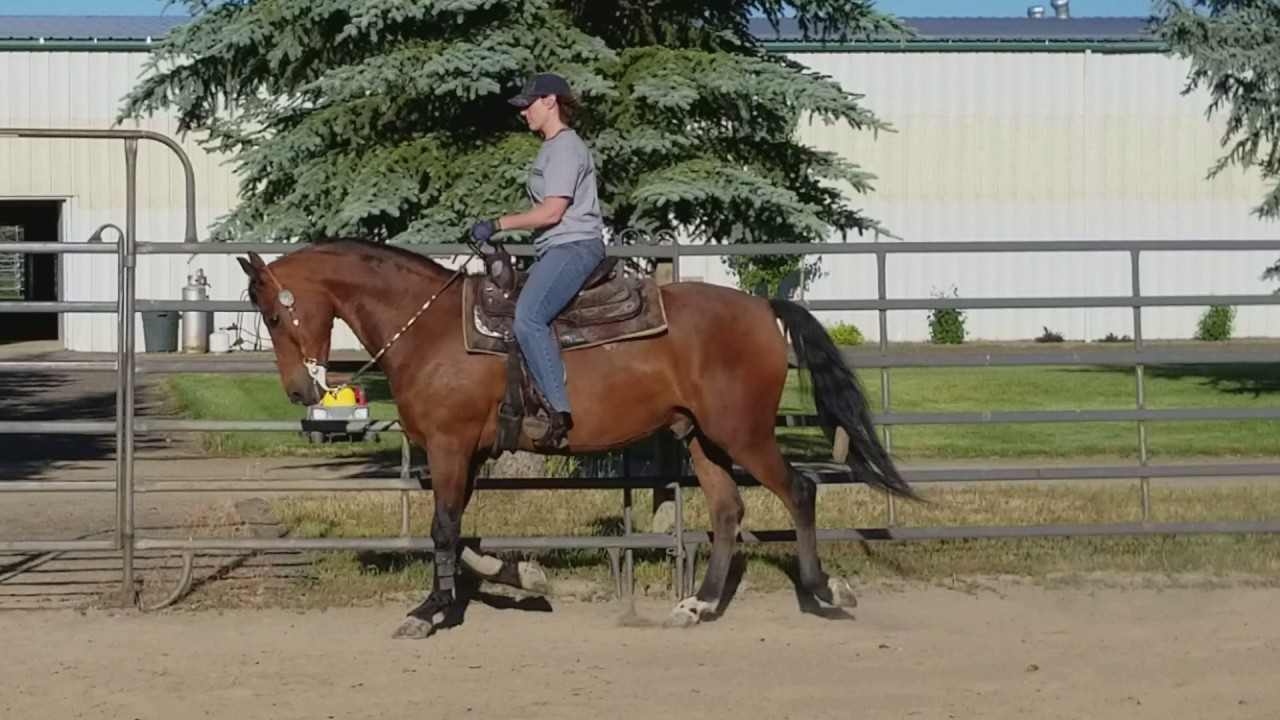 Western Jog YouTube