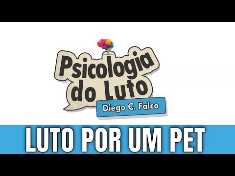 Vídeo: Como cuidar de um coelho (com fotos)