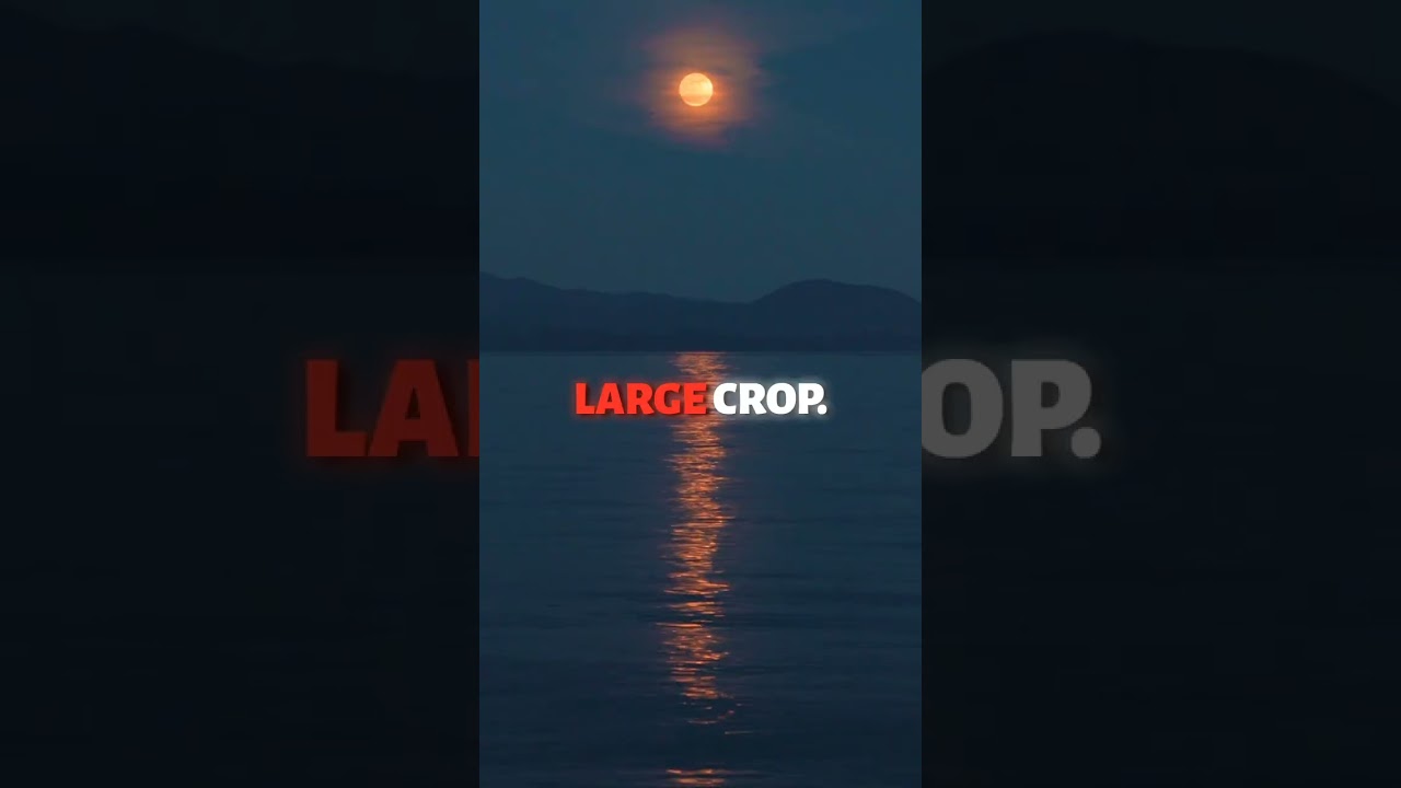 The Joy of Giving – 2 Corinthians 9:6-7