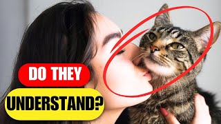 Do our cats like hugs and kisses? | Do they understand them the way we do?