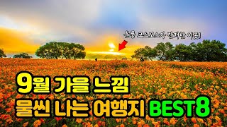 가을 느낌 물씬 나는 여행지 BEST 8 🧡 | 가볼만한곳 | 추석연휴 | 가을 | 추석연휴가볼만한곳 | 가을여행지 🍂