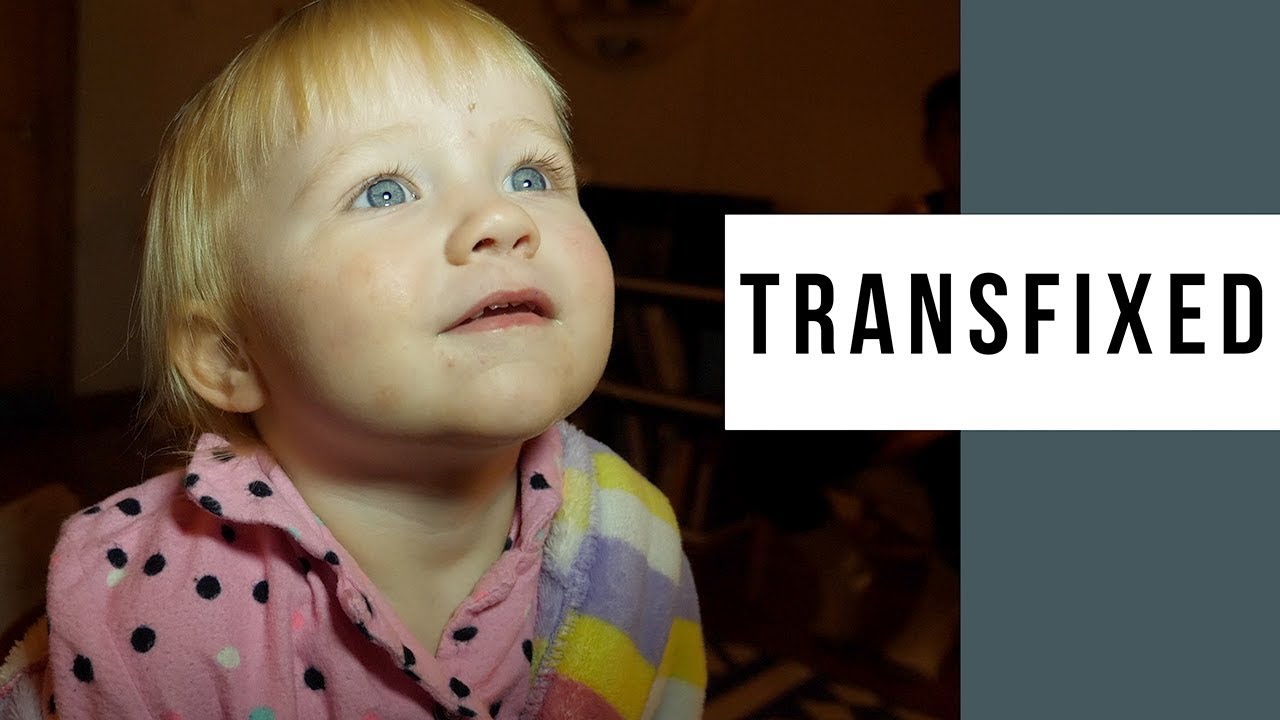 adobe lightroom vs lightroom classic Genaray LED-5300 LED Light Casts A Spell