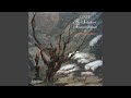 Capture de la vidéo Liszt: Müllerlieder Von Franz Schubert, S. 565 (1846 1St Version) : Ii. Der Müller Und Der Bach