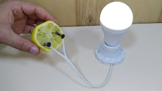 How to generate free electricity with lemon acid| Simple Tips