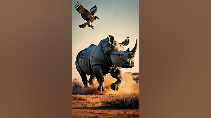 AI Animal Fusion: Hybrid Creatures You’ve Never Seen Before! 😱 | #Shorts”