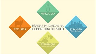Introduction to the 1st MapBiomas Collection