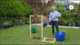 How to plant a tree grown in a container  a professional guide!