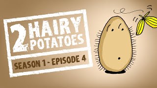 S1E4 - 2 HAIRY POTATOES - YOU'RE JEALOUS (Animations from Webcomics)