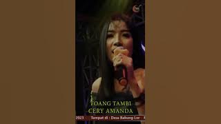 Toang Tambi Cery Amanda #shorts