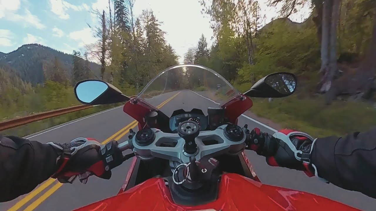 Ducati Panigale V2 - Insane Forest Ride | Raw Onboard [4K]