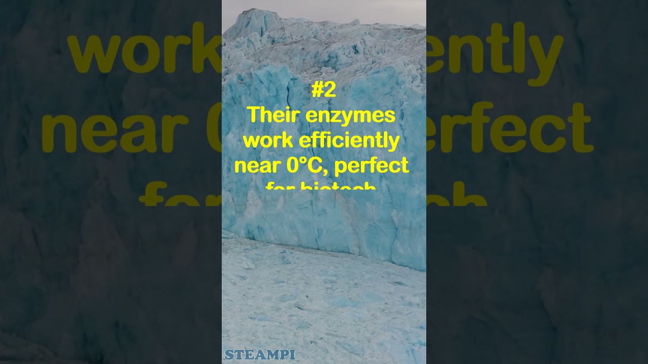 The Bacteria That Thrive in Antarctic Ice! ❄️ | Weird & Extreme Ep.6 | 