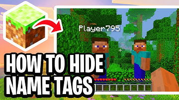 How To Hide Name Tags On Minecraft Java Edition - Step By Step