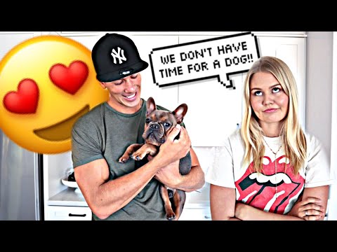 bringing-home-a-dog-to-see-how-my-wife-reacts....