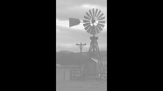 Divine Fuchsia Products