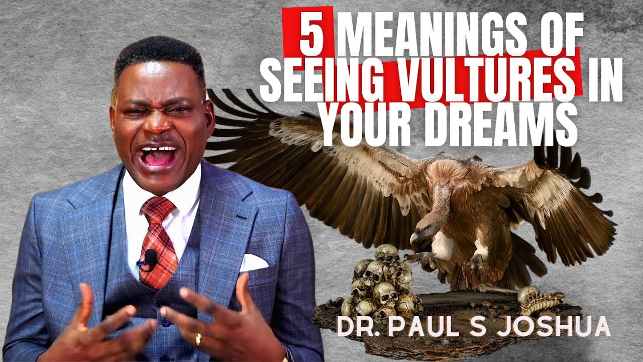 5-implications-of-seeing-vultures-in-your-dreams-spiritual-meaning