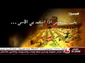 بك أستجير ياسر ابو عمار بك أستجير ياسر ابو عمار