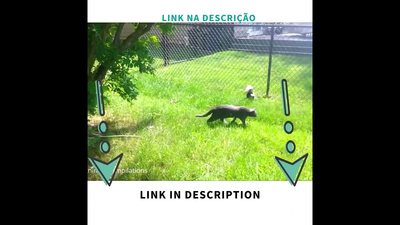 Happy Animals, Happy People, Beautiful Harmony 