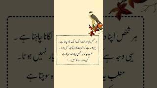 Everyone wants to plant their own tree, that's why the garden of humanity is not ready. #ecodefense