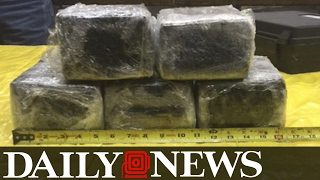 Nearly 30 Pounds Of Cocaine Found On American Airlines Plane Cartel Is Suspected