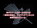 世界七不思議 ナスカ が蚊取り線香に!? Twitterで話題に!!