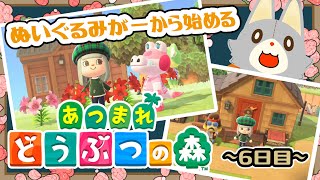 【あつまれどうぶつの森】役場が出来た！！島開発6日目