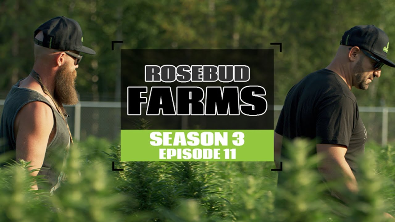 GROWING EXPOSED | REGENERATIVE FARMING AT ROSEBUD FARMS