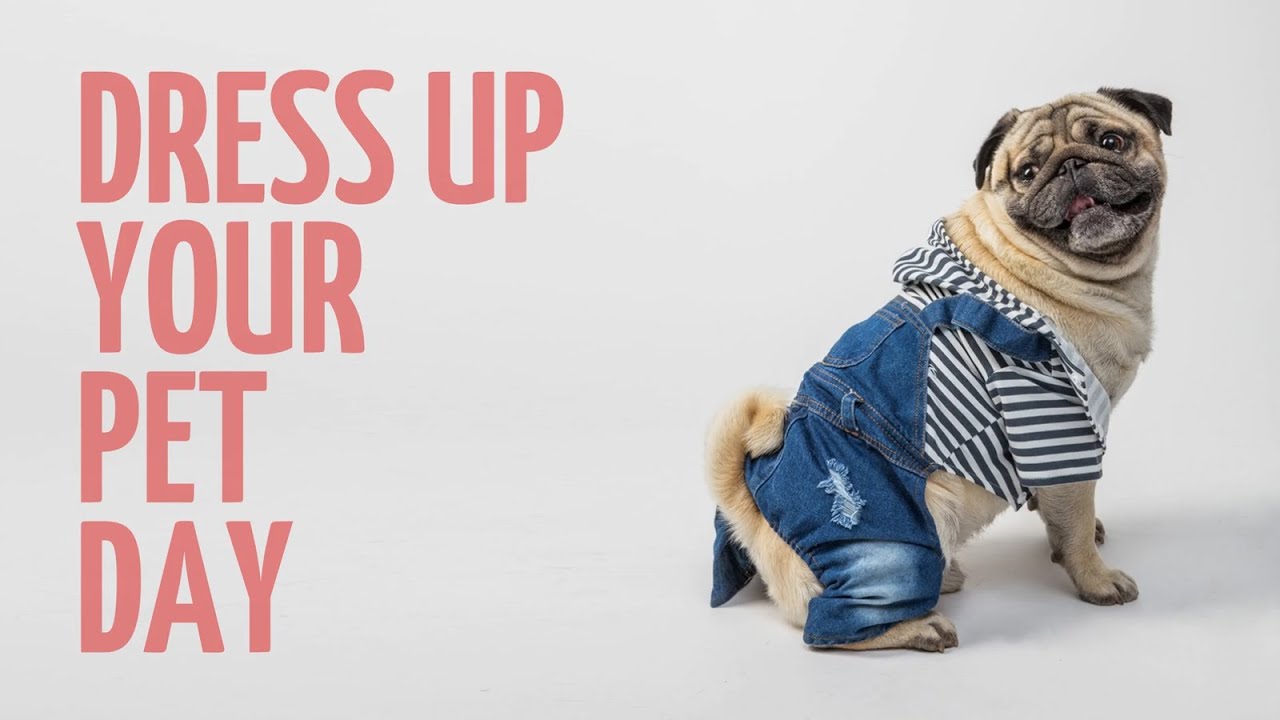 dressing up your dog