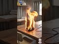 HSE – Fire and Explosion Prevention