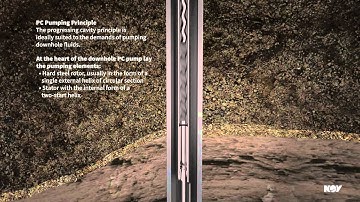Progressing Cavity Pump (PCP) System